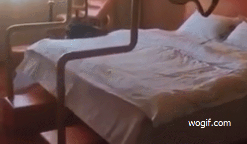 古代“情趣酒店”全自動(dòng)搖床，只賣(mài)18周歲+（GIF）