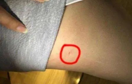 針扎到女朋友了，我要糙你，快點塞進(jìn)來，我就早塞進(jìn)去了好痛...